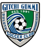 Gitchi Gummi Soccer