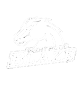 Brentwood Blaze Youth Football
