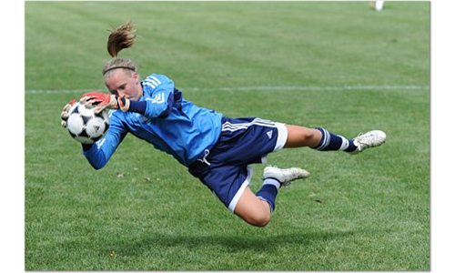 Cassie