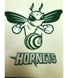 Highland Hornets Youth Football and Cheerleading
