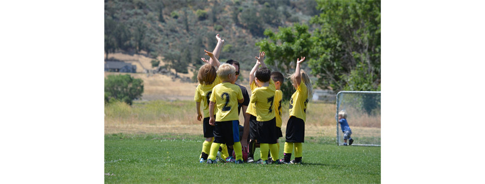 Interested in coaching? Let's talk! Contact us at maplevalleyyouthsoccer@gmail.com