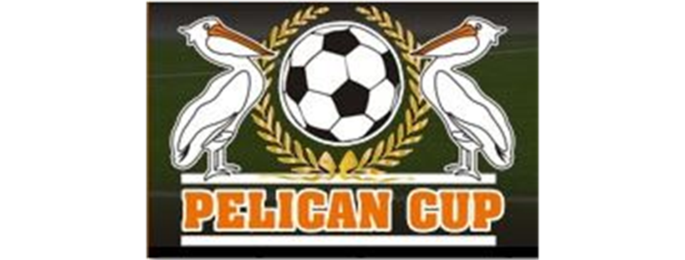 Pelican Cup 2016