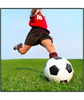 Winter Haven Youth Soccer Association