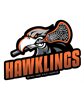 Bethel Park Middle School Girls Lacrosse