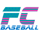 Fayette County Baseball Association