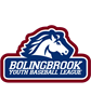 Bolingbrook Youth Baseball League