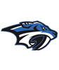 Chesapeake Wild Hockey Club