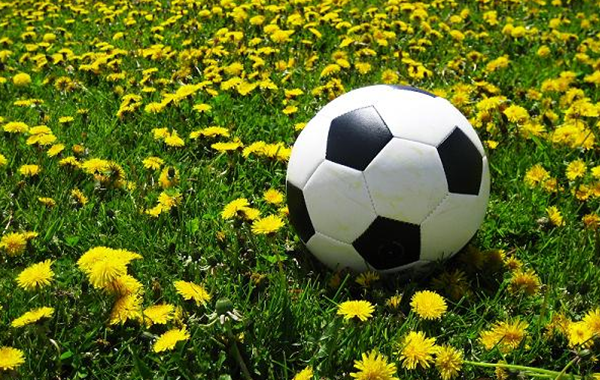 Spring Season Starts April 4th! 