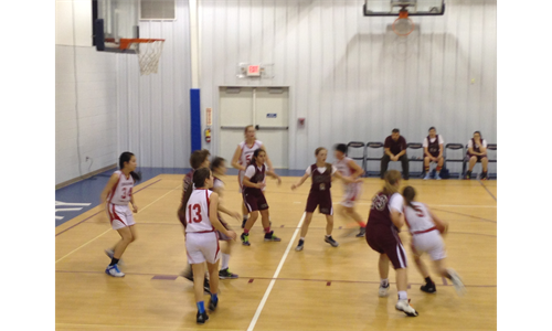 Boys and Girls Basketball 