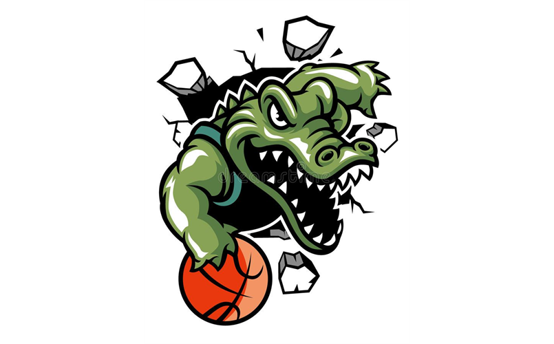 The 2025-26 DMAA Basketball Season is about to begin!