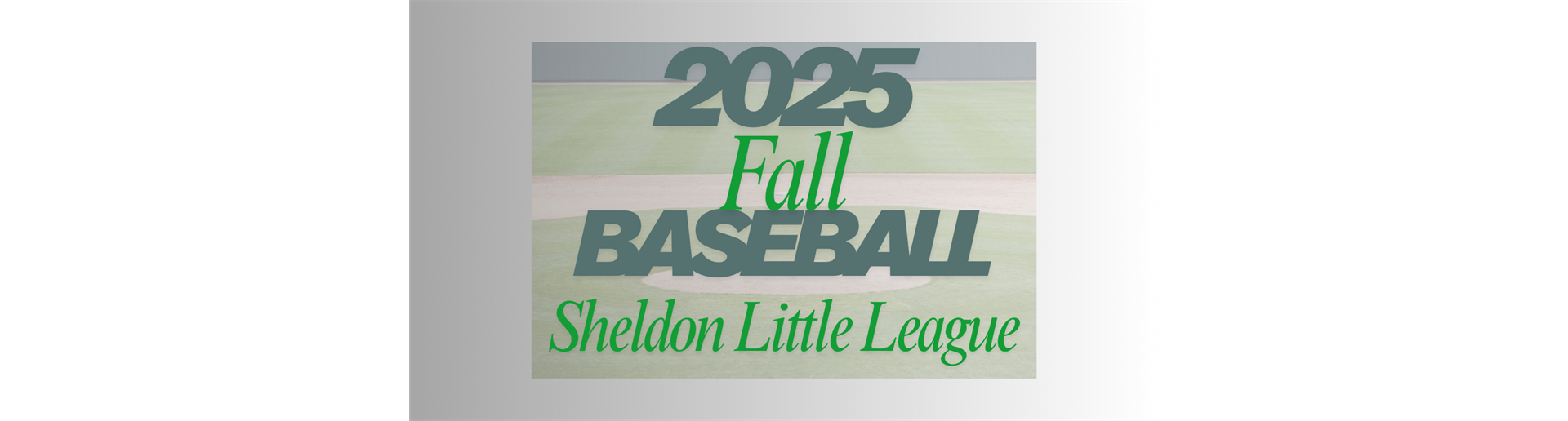 2025 Fall Baseball
