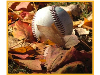 Fall Ball Registration is now open for 2016