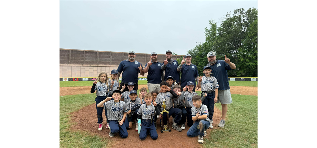Summer Brawl Coach Pitch Champions
