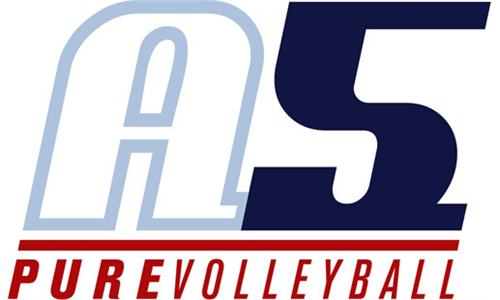 Training System A5 Volleyball 