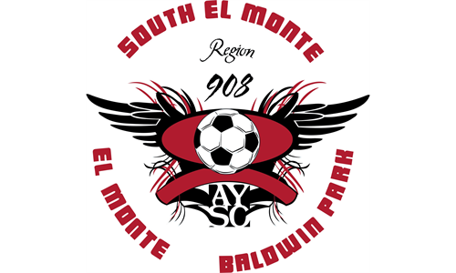 Welcome to the AYSO 908 Website