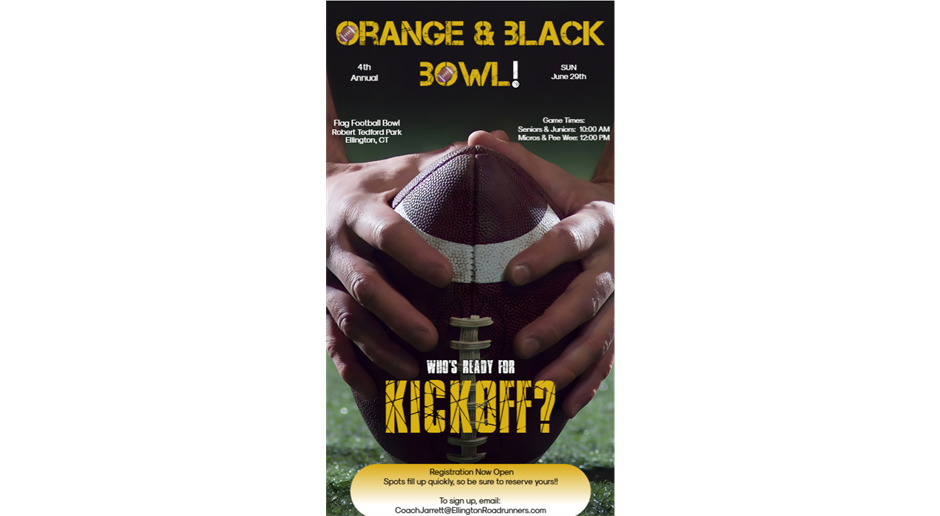 Orange & Black Bowl
