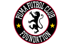 PUMA FC FOUNDATION