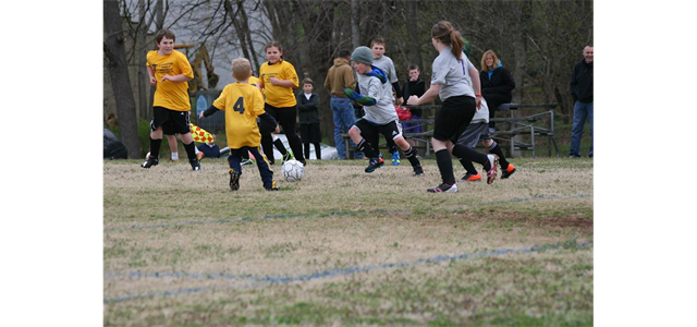 Under 8 Soccer Teams