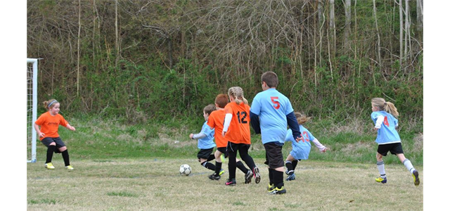 Under 8 Soccer Teams