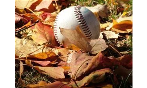 Baseball in the Leaves