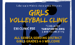 Sat. 4/22 Girls Volleyball Clinic: Deadline 4/15