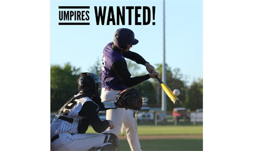 Kid Umpires wanted!