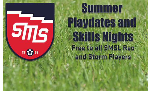 Introducing Summer Playdates and Skills Night